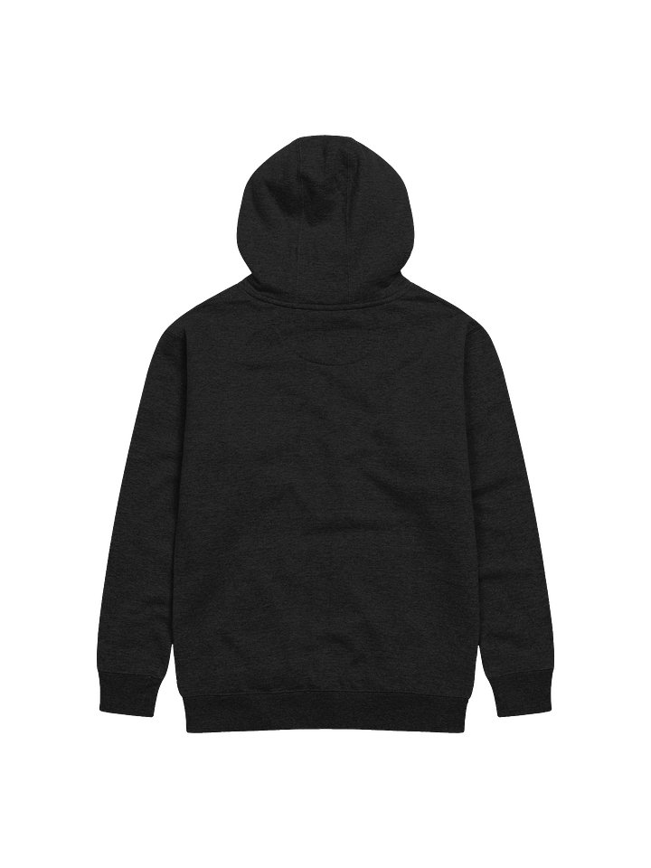 Shared XP Hoodie product image (2)
