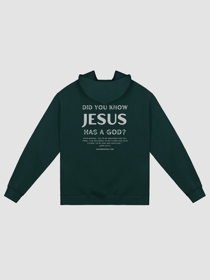 Jesus Has a God Premium Oversized Hoodie product image (5)