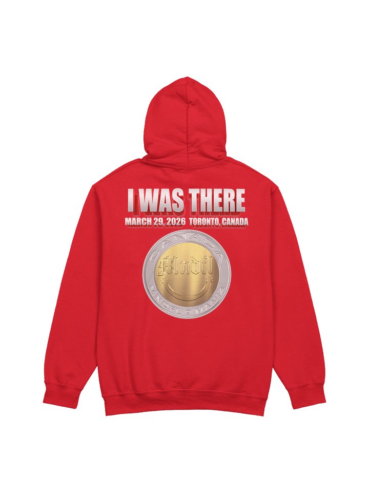IWF MNDFL Mania 2 Hoodie product image (14)