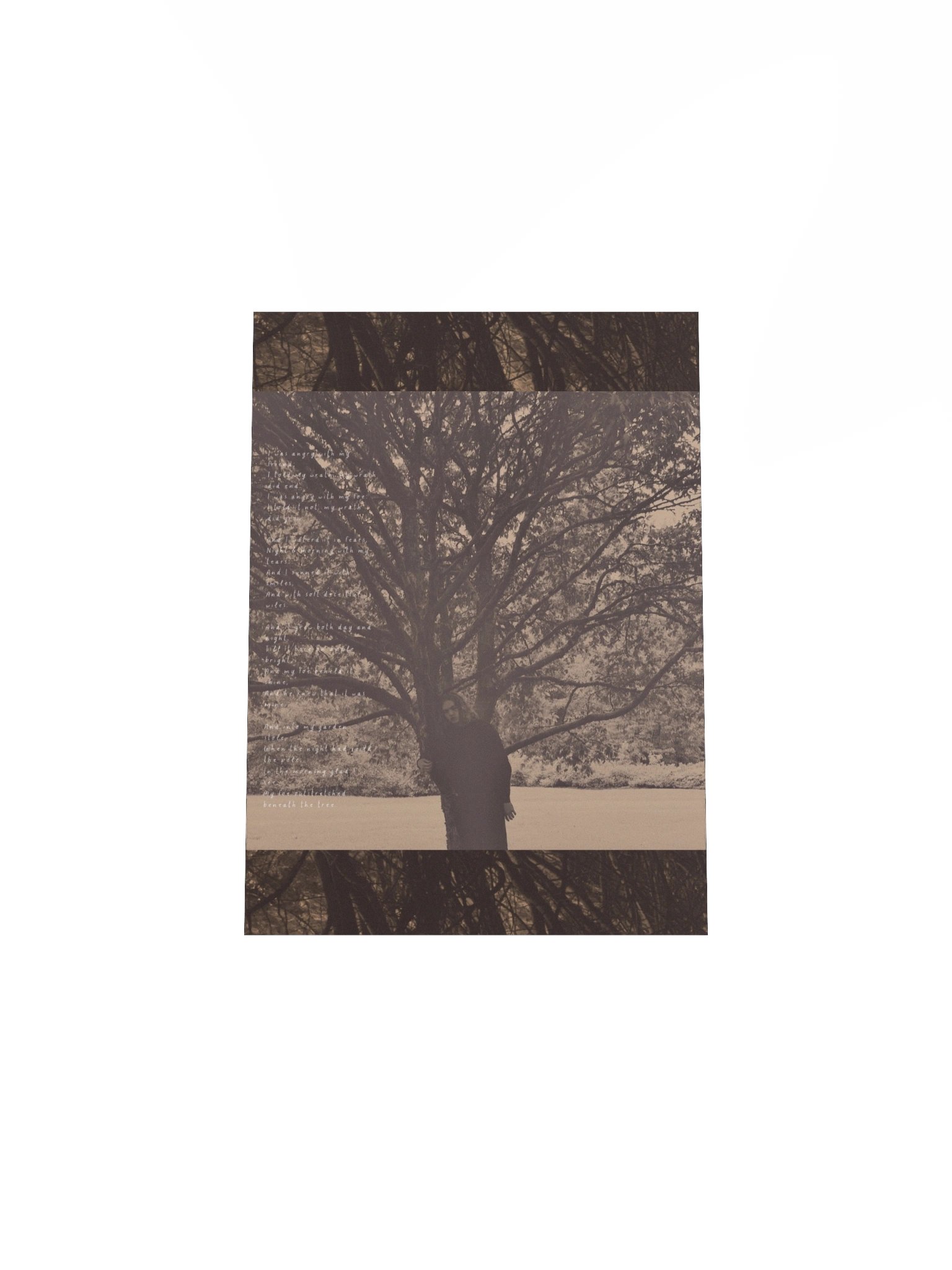 A Poison Tree poster product image (31)