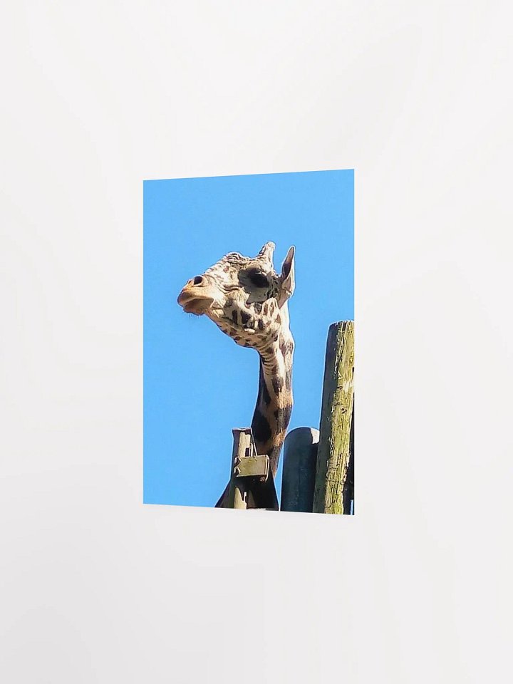 Giraffe Close Up product image (16)