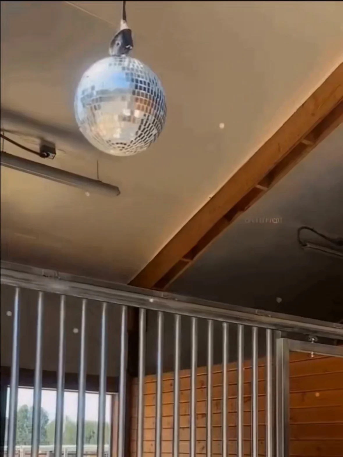 Disco Balls for Repelling Flies product image (2)