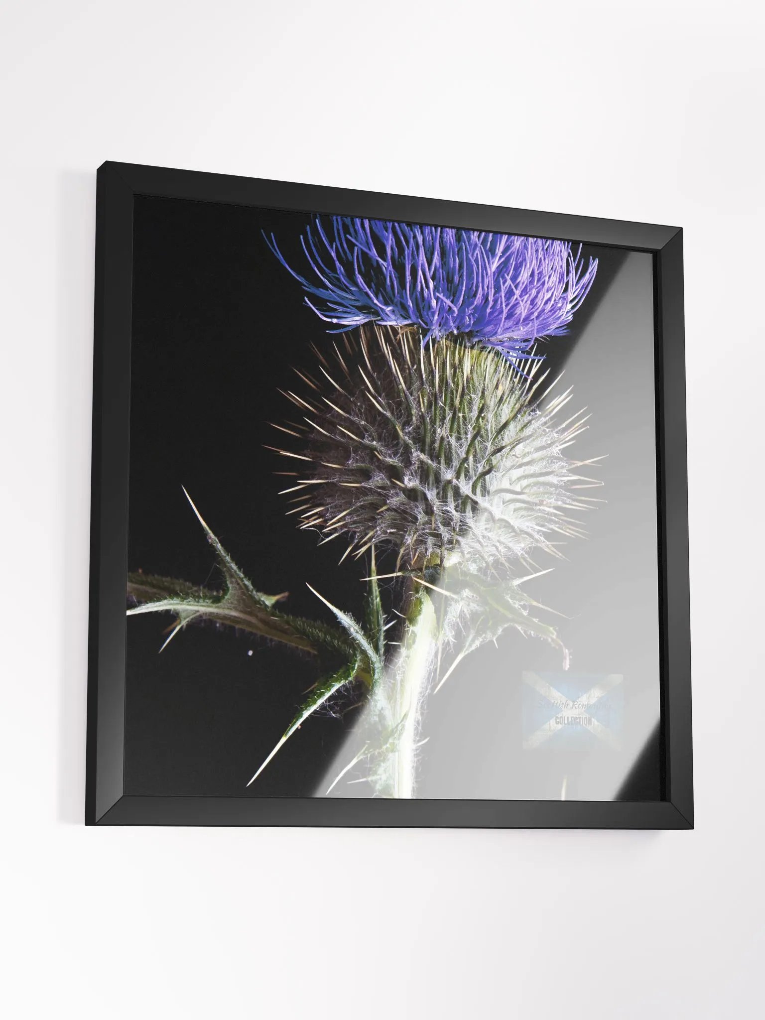 Scottish Romantics Collection product image (2)
