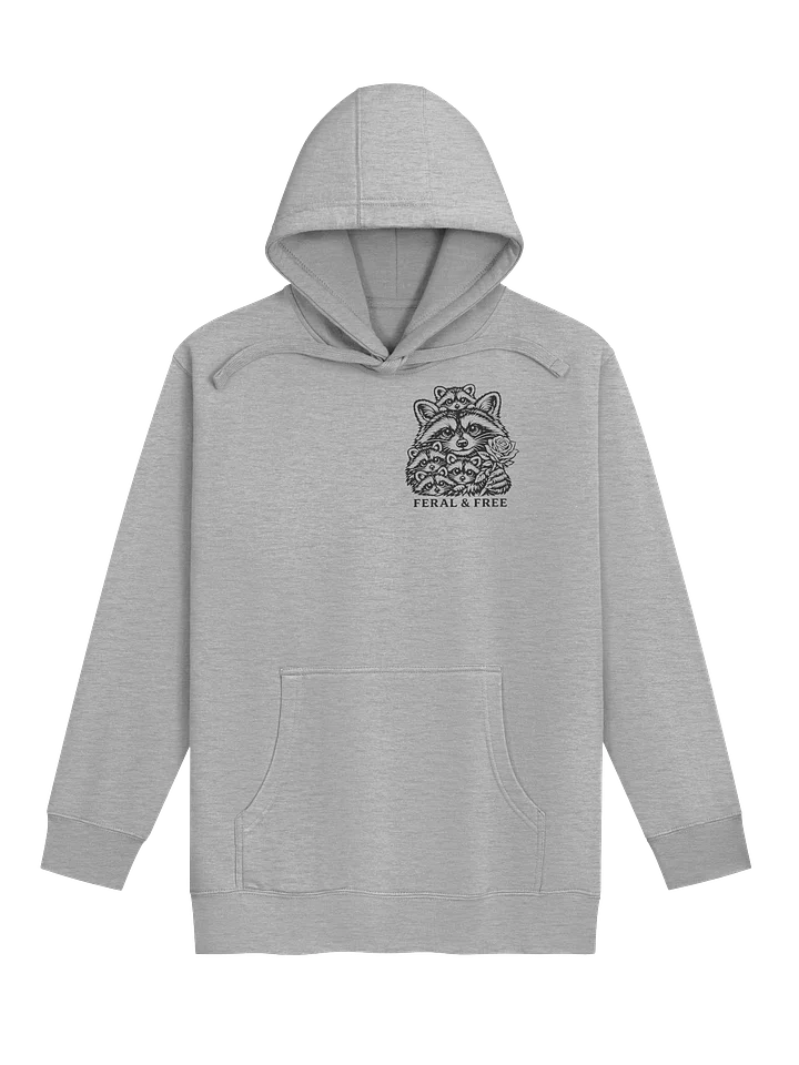Raccoon Rehab Hoodie product image (1)