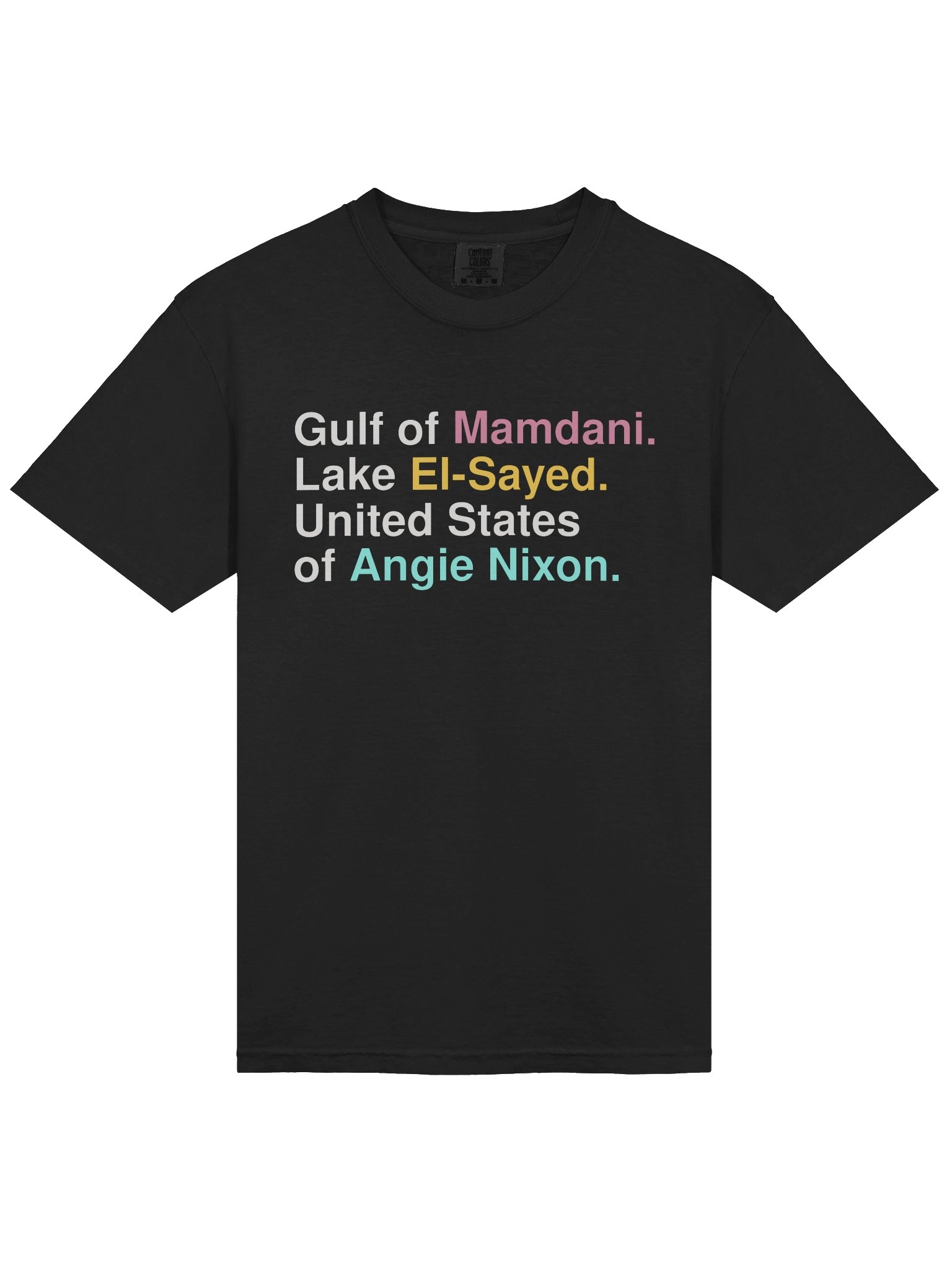 Gulf of Mamdani, Lake El-Sayed & Angie Nixon T-Shirt | Comfort Colors 1717 Pepper product image (6)