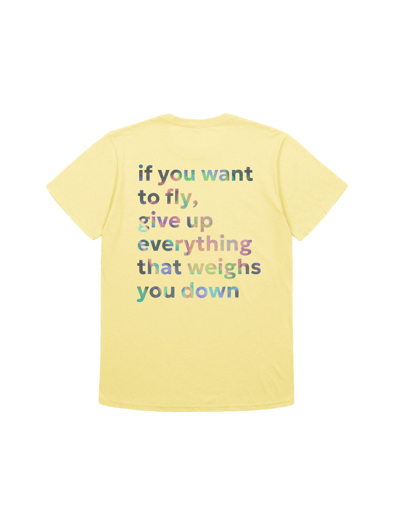Fly T-Shirt (Light) product image (73)