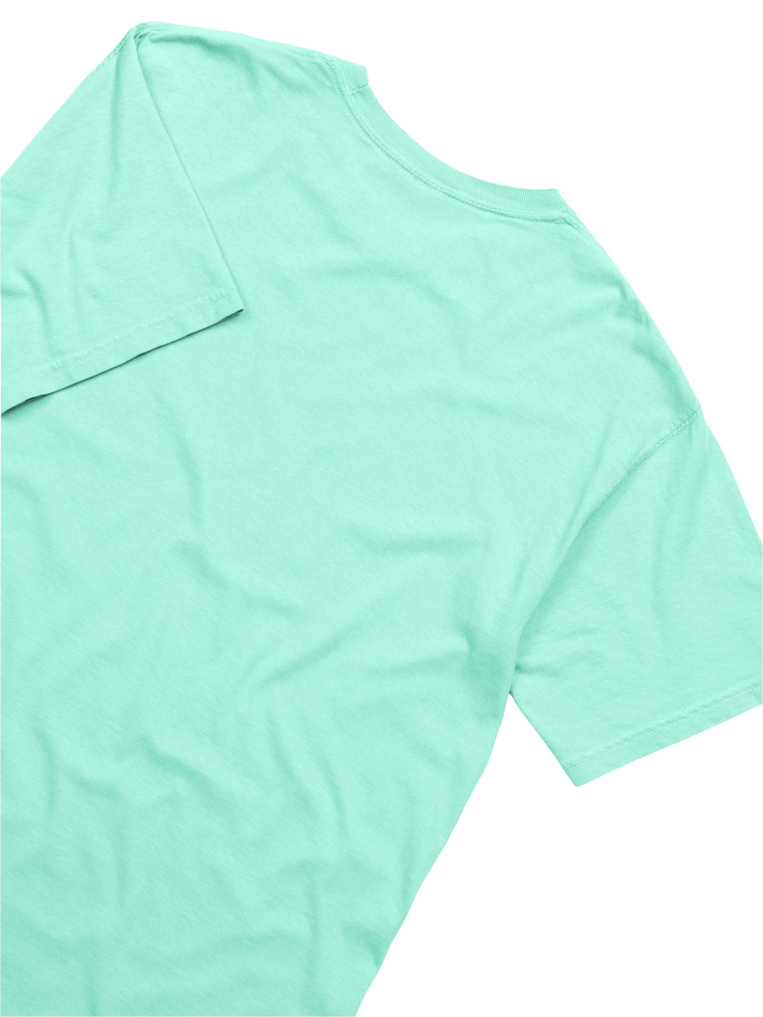 Vintage Folk Art Songbirds T-Shirt | Mid-Century Nature Tee product image (11)