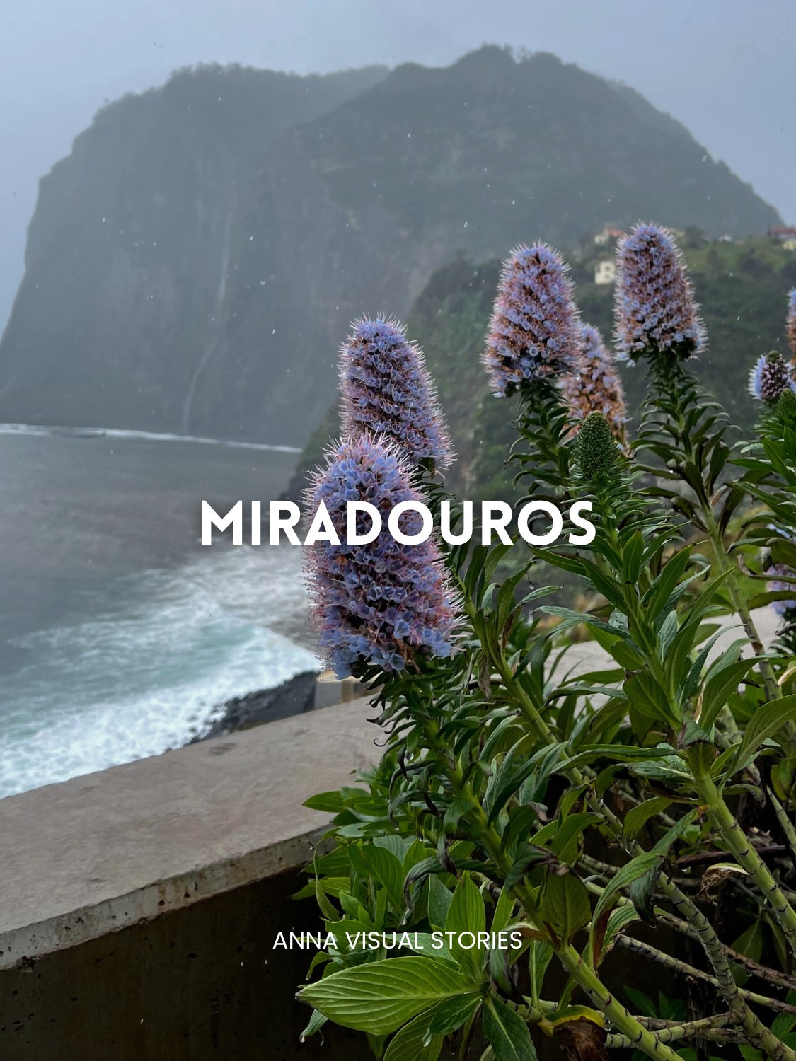 Madeira Itinerary product image (3)