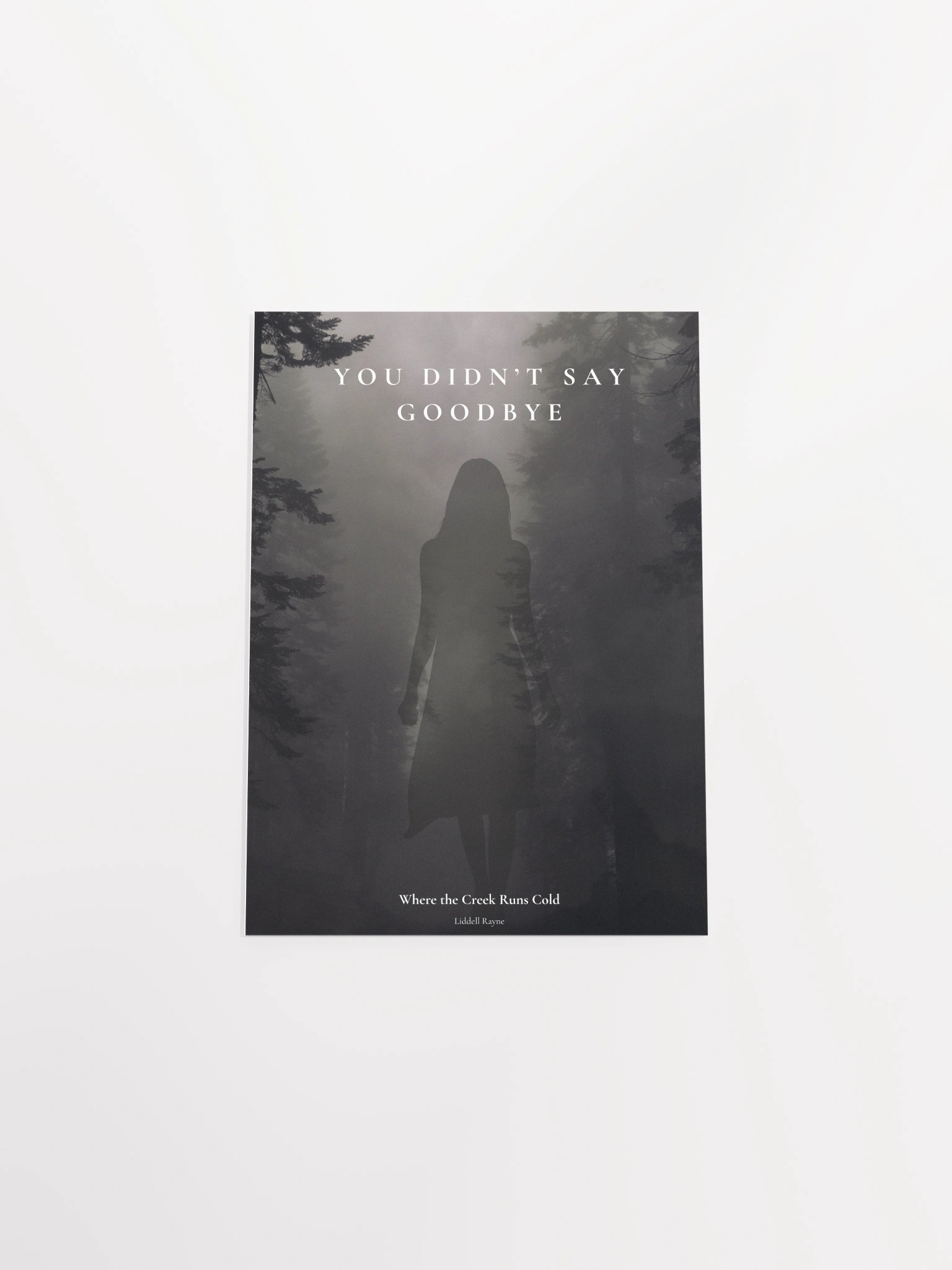 You Didn't Say Goodbye Picture w/ Ebook of Where the Creek Runs Cold product image (4)