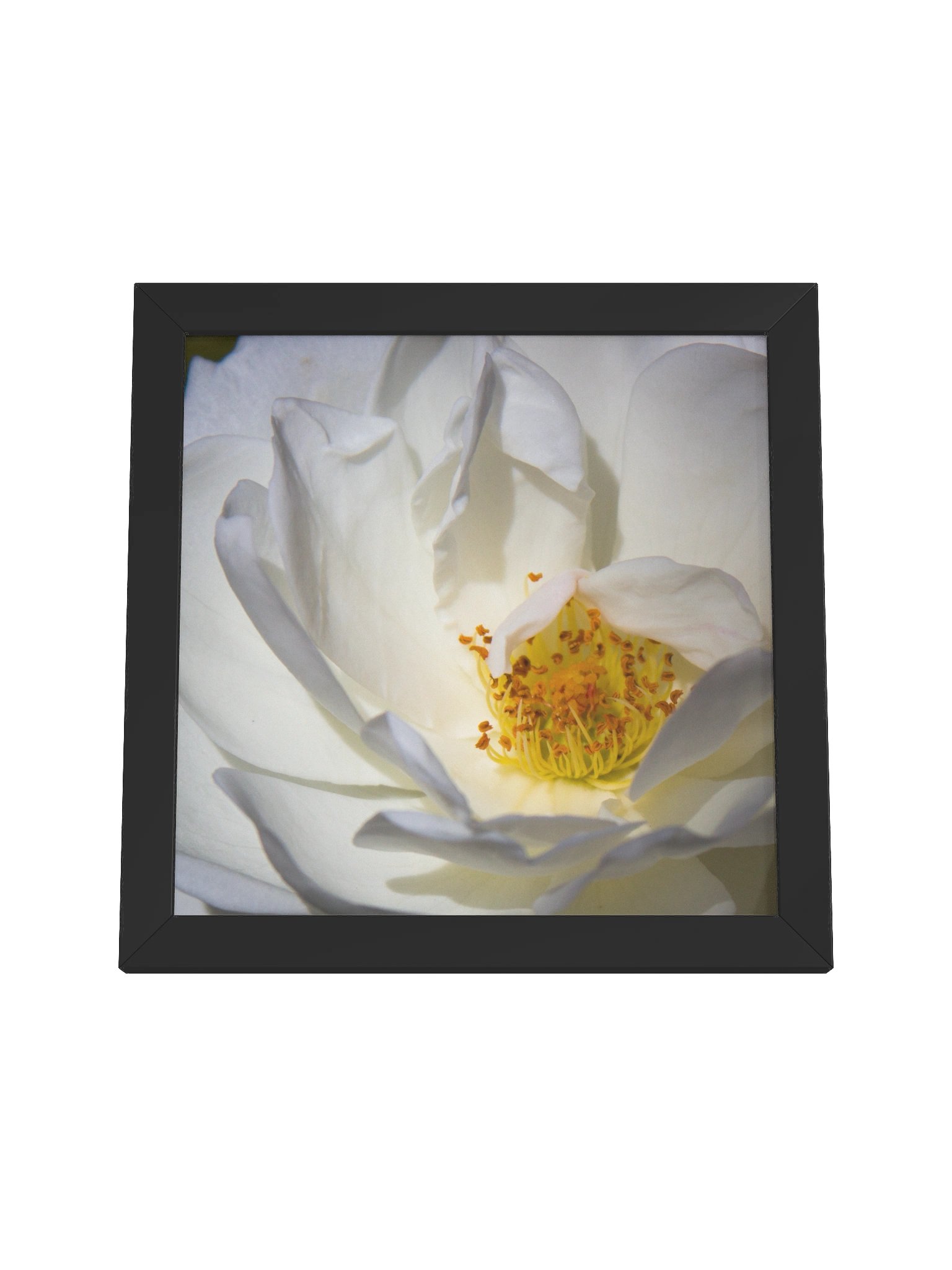 Shelter product image (13)