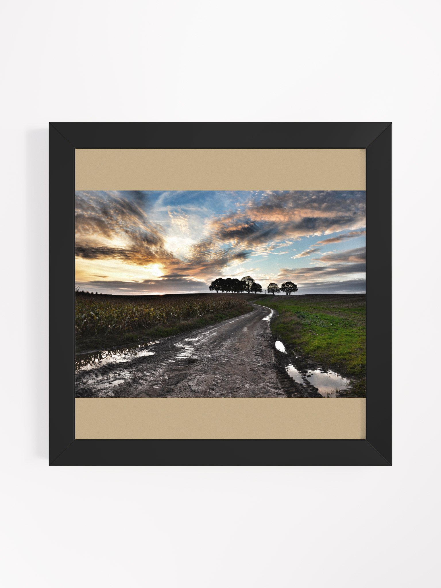 Courcelette Sunset - Framed product image (2)
