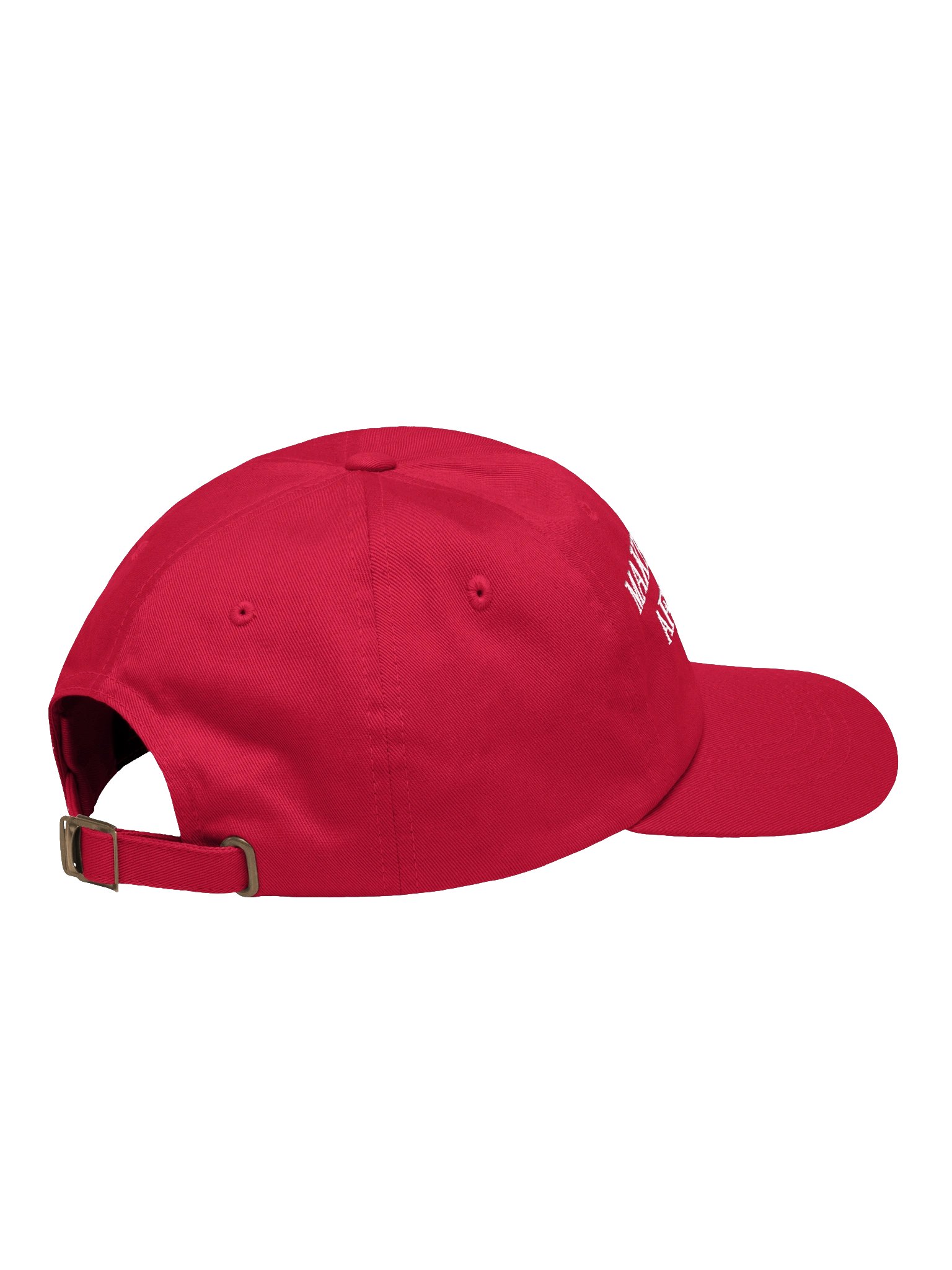 MPAG DAD HAT product image (4)