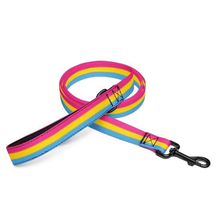 Pansexual Pride Flag Pet Leash product image (1)