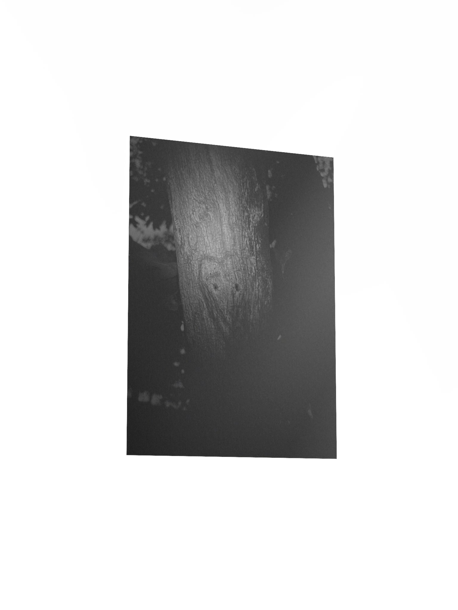 The carving (real image) poster product image (20)