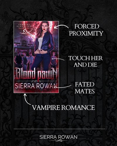 Are you ready to meet the Sentinels?!
Dive into the Vampire Rebellion series at http://shop.sierrarowan.com/