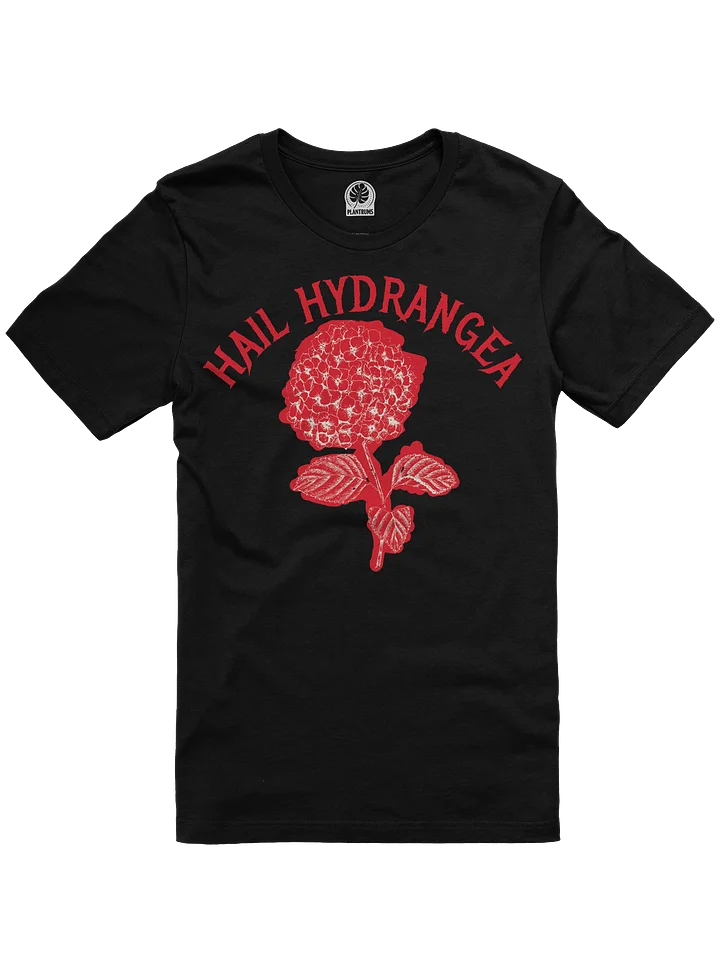 Hail Hydrangea V2 product image (2)