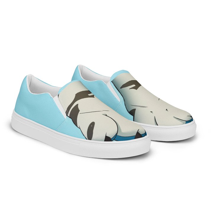 Tiger2Paws Men's Slip-On Canvas Shoes - Blue product image (2)
