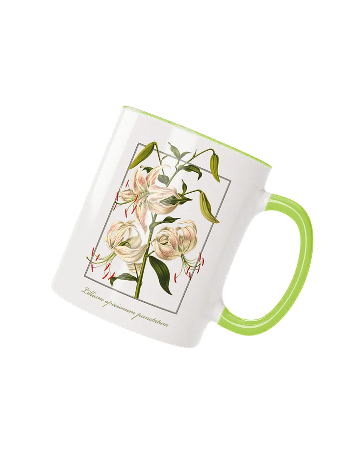 Japanese Lily, (Lilium speciosum) - Ceramic Mug product image (2)