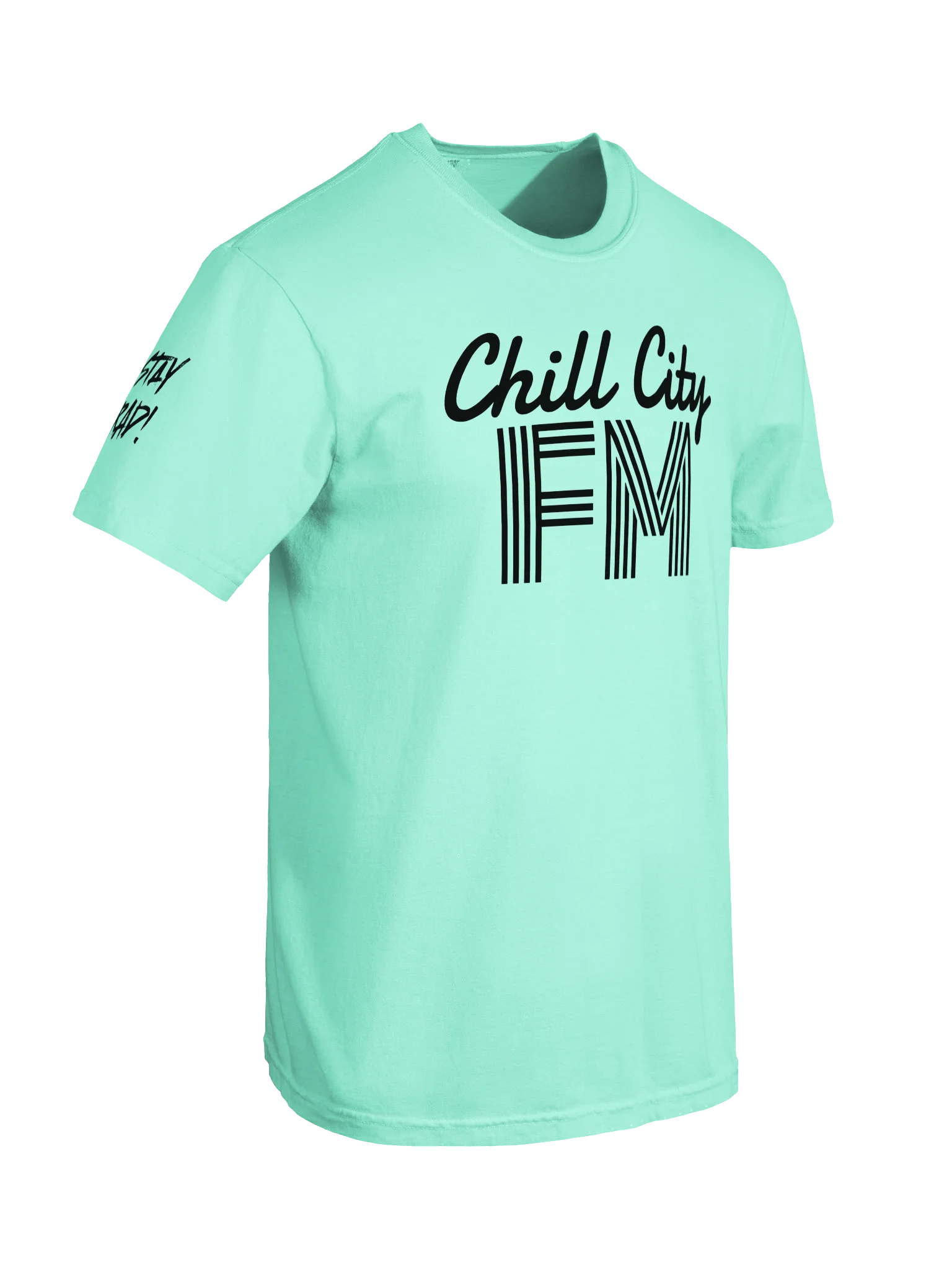 Chill City FM Basic T product image (10)