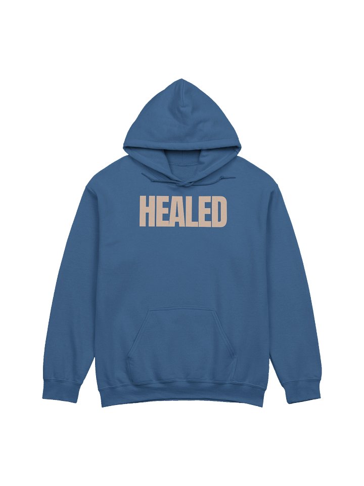 HEALED CLASSIC FIRST EDITION HOODIE product image (9)