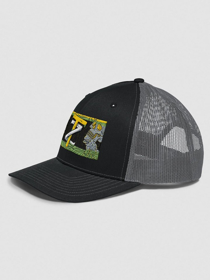 TZ trucking product image (2)