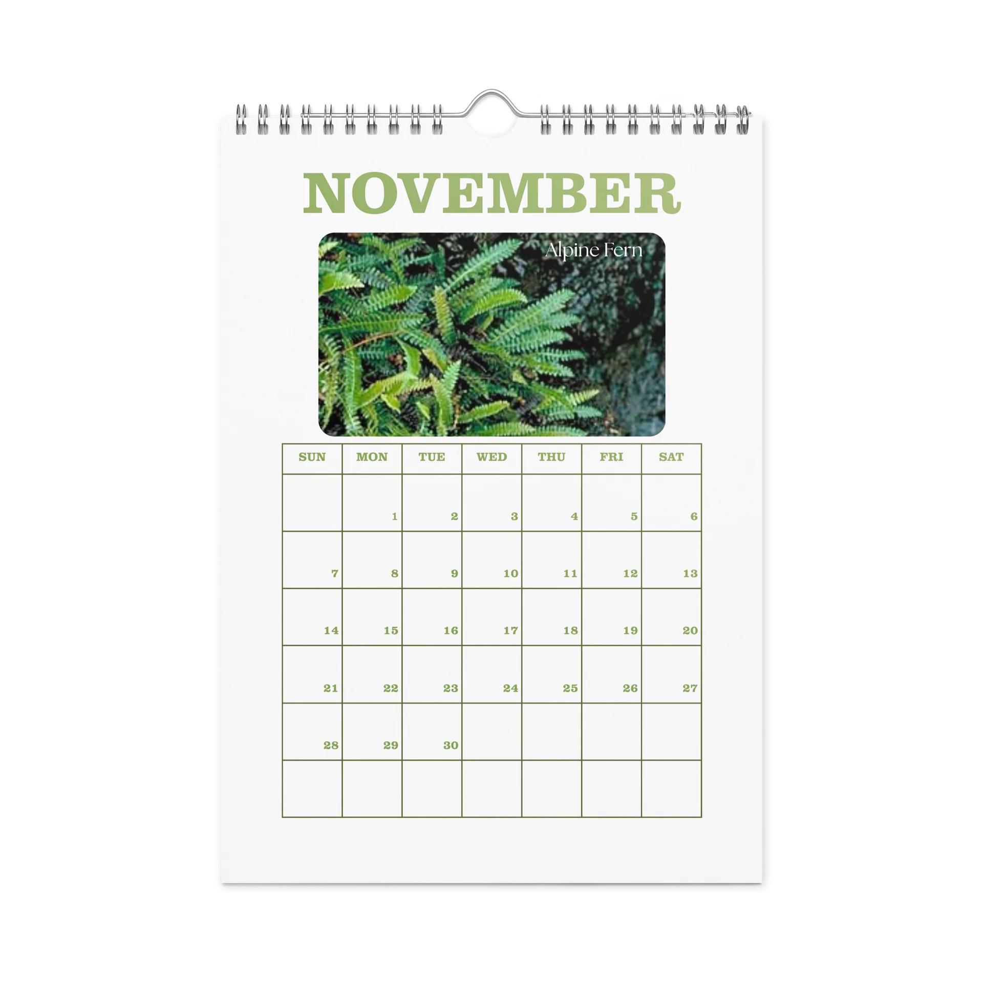 2027 - PRIDE WITH AUSTRALIAN NATIVE FLORA - Wall Calendar product image (11)