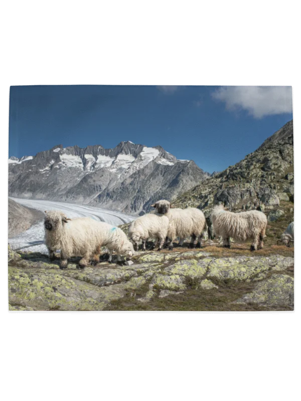 Valais Blacknose sheep and Valais Blackneck goats Table mats product image (3)