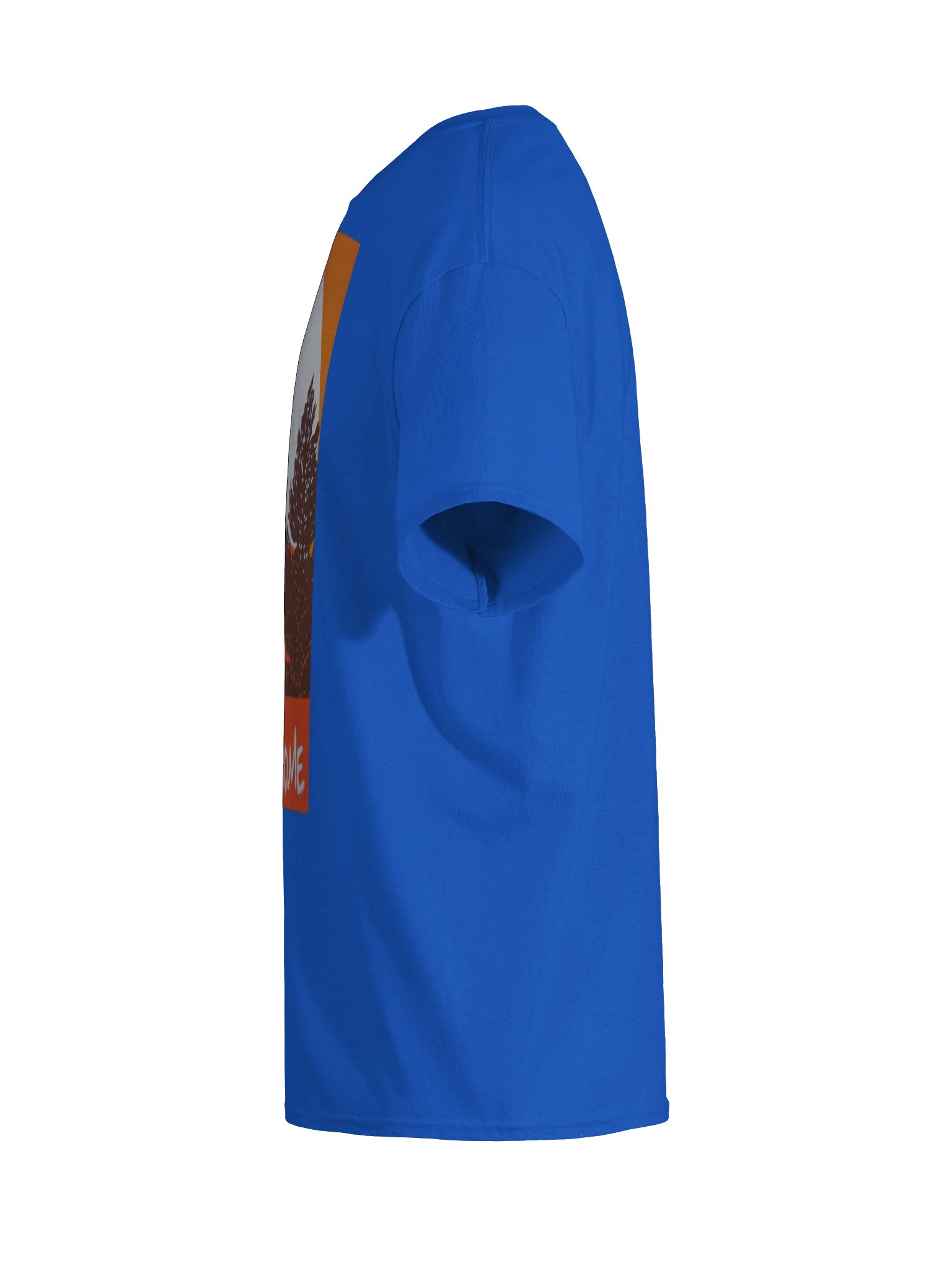 D.T Go Home product image (11)