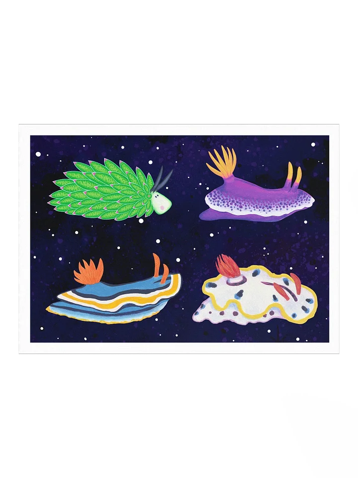 Sea Slugs: Set 2 - Print product image (1)