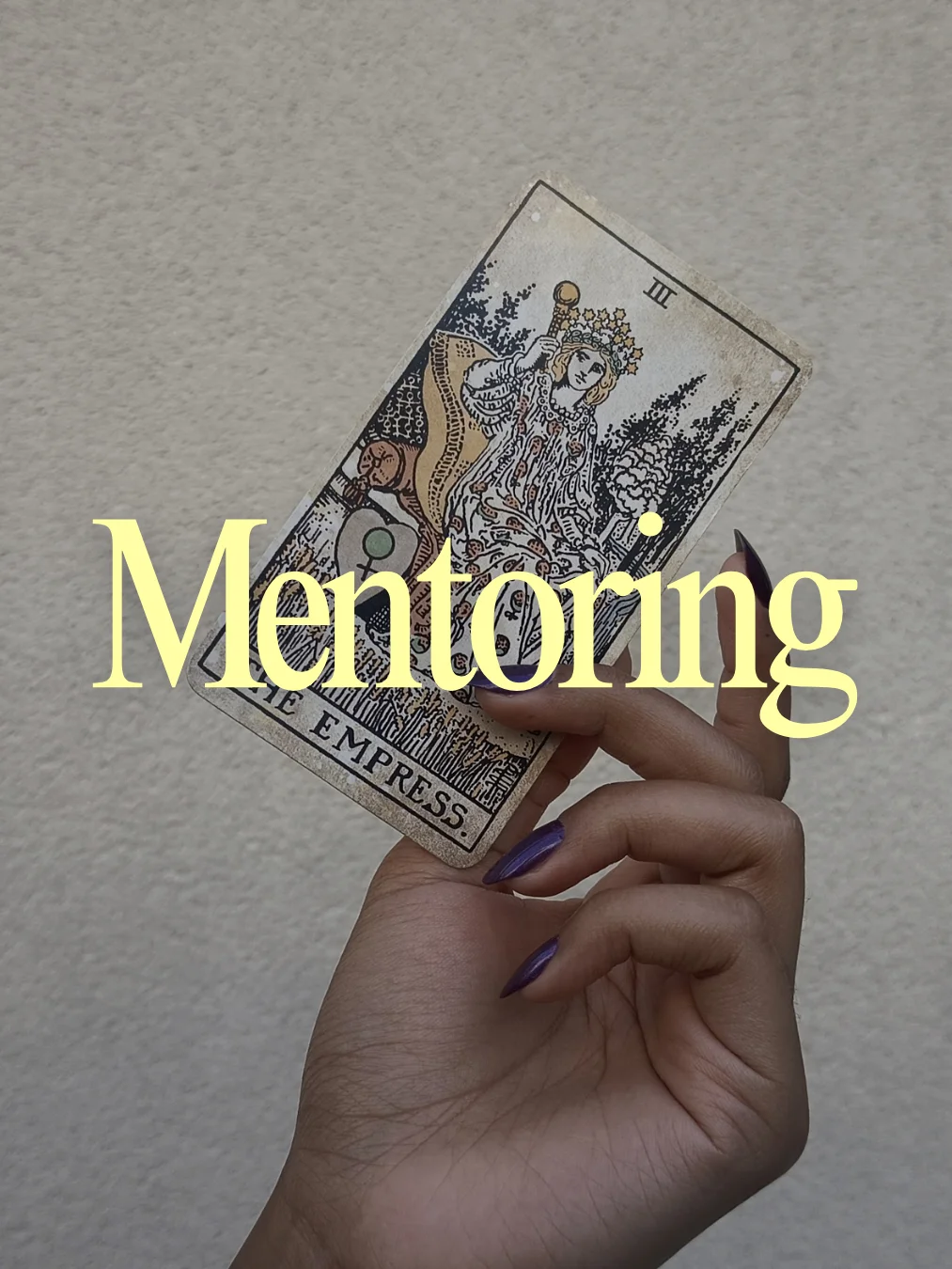Individual Mentoring product image (1)