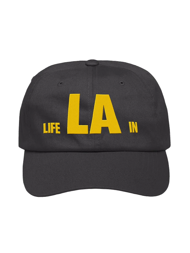 Life in LA Hat - Dark Grey (+Vic and Jeff) product image (1)