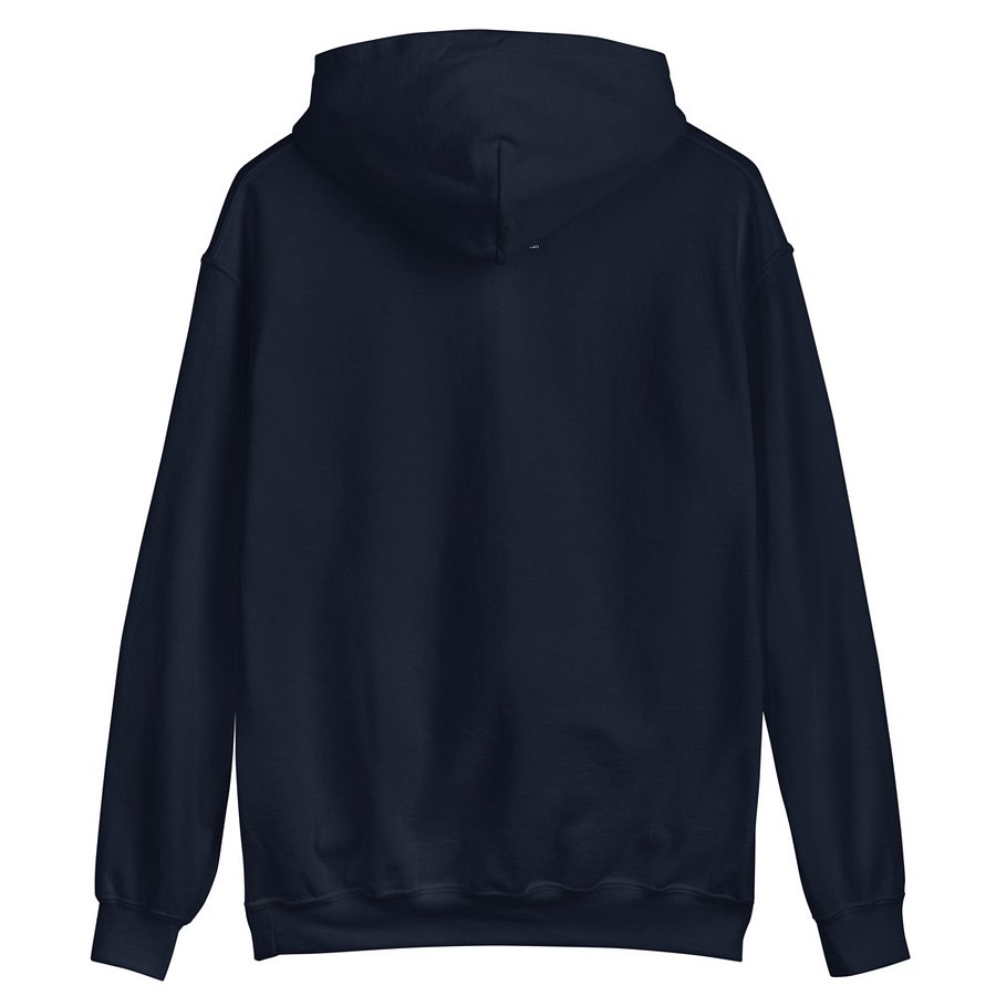 National Air and Space Museum Hoodie (Unisex) Image 2