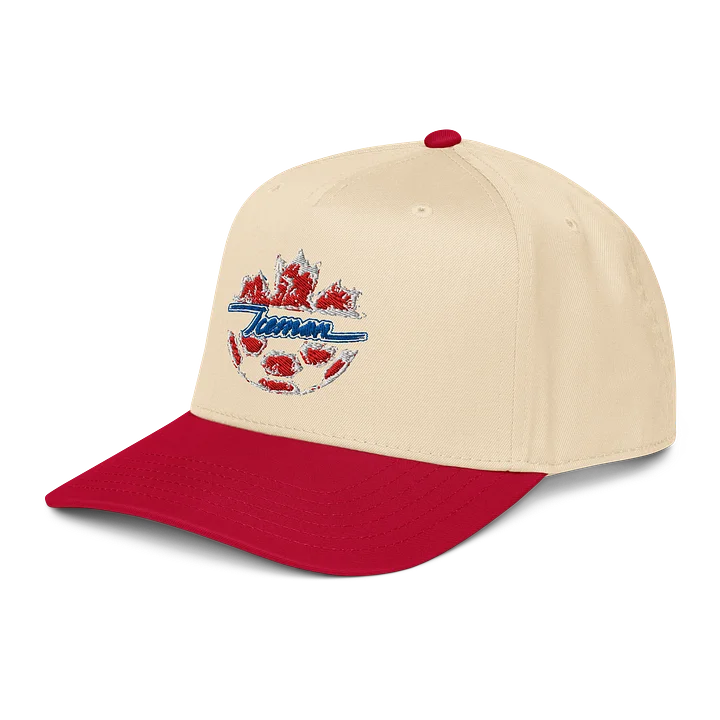 ICEMAN Snapback (CANADA) product image (2)
