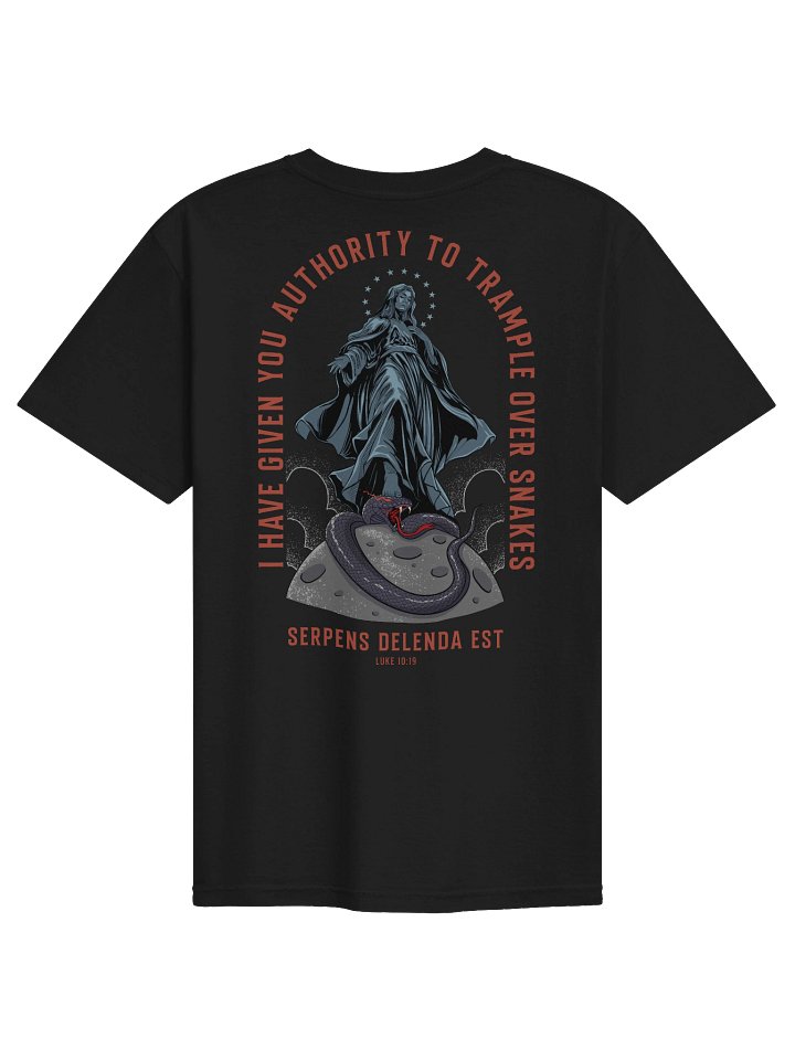 Queen of Heaven and Earth - T-shirt product image (1)