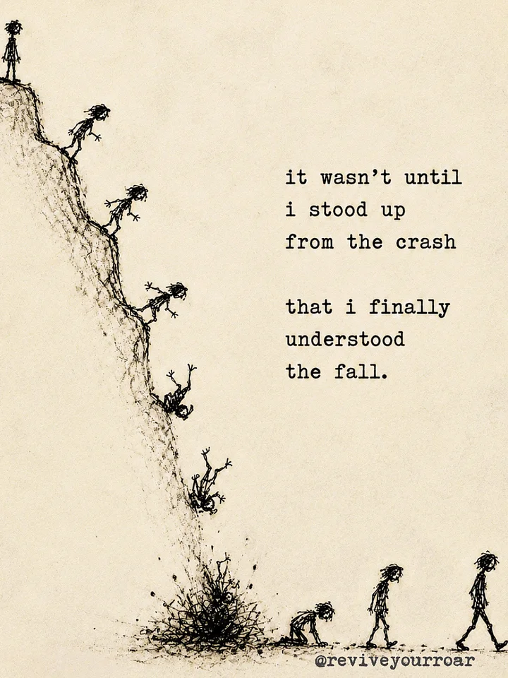 the crash & fall product image (1)