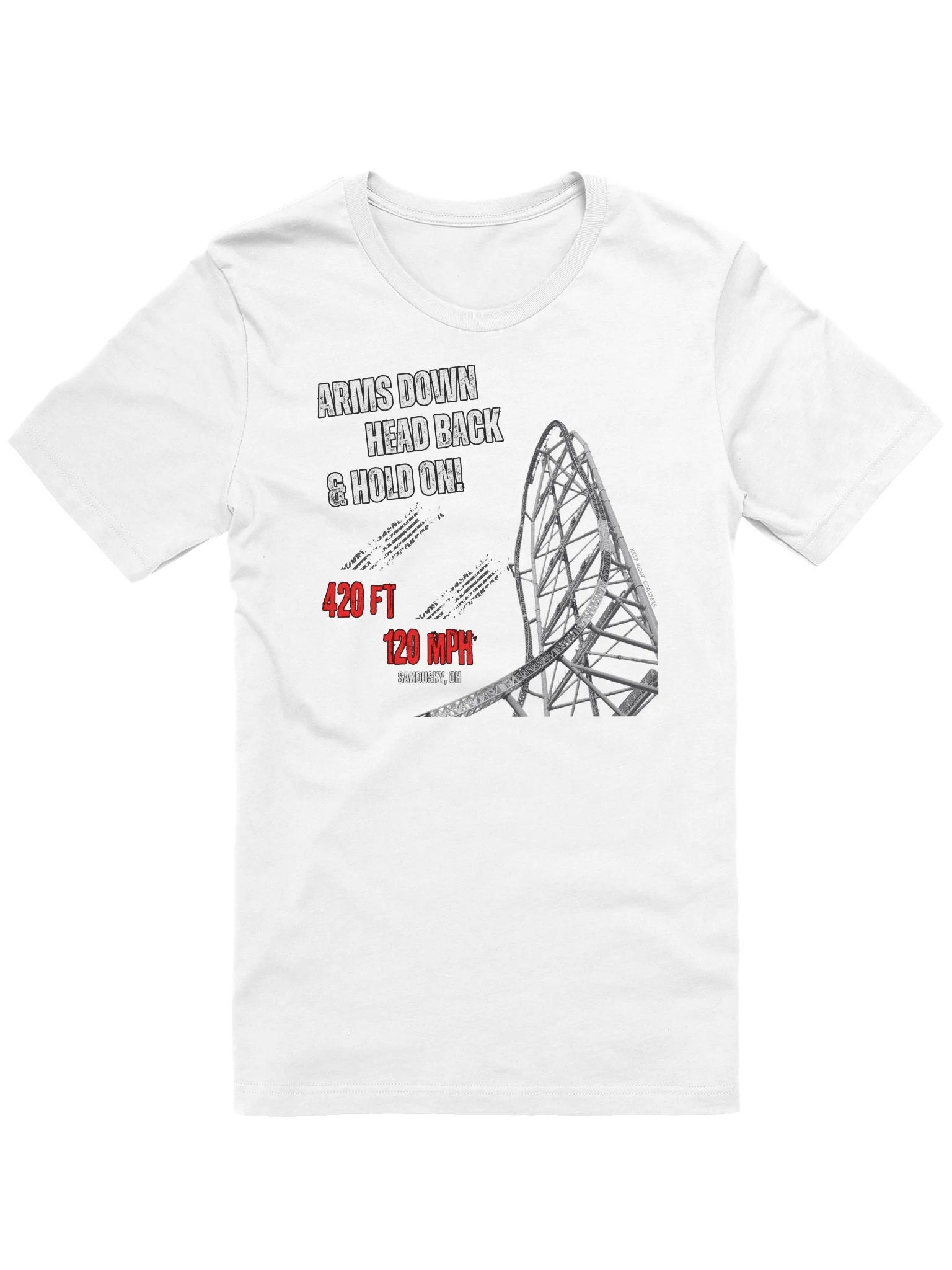 Arms Down, Head Back & Hold On - 420/120 Tee product image (3)