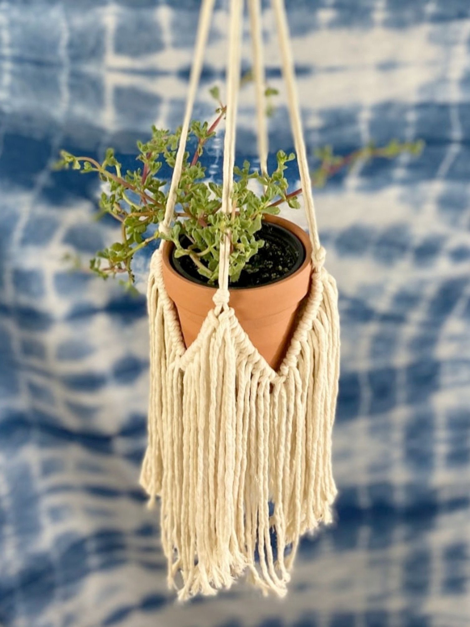Boho Fringe Macrame Plant Hanger (Digital PDF Pattern) product image (1)