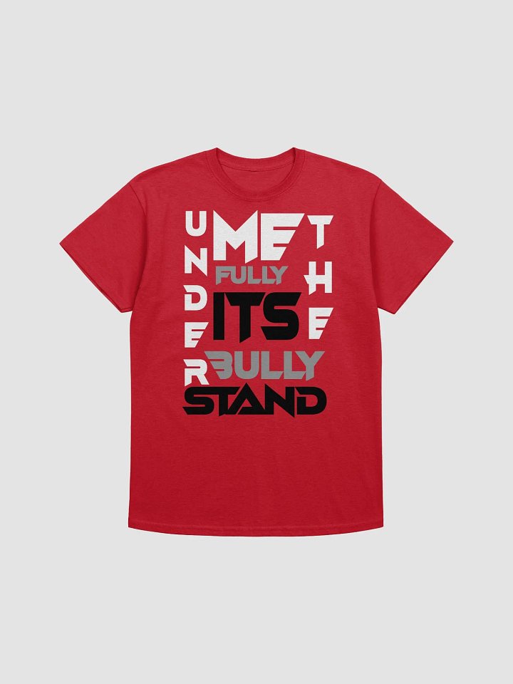 UNDERSTAND FULLY (T-SHRITS )RED product image (1)
