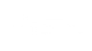 The - PROGRAM