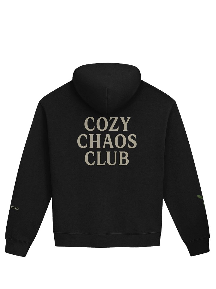 Starry Panda Oversized Hoodie product image (4)
