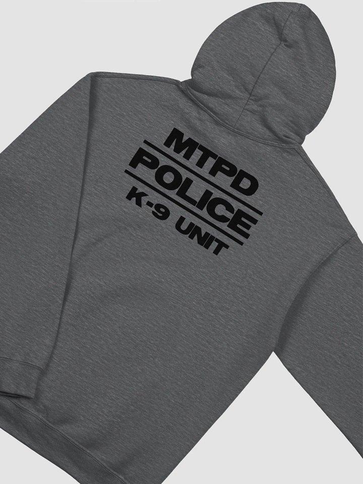 Foundation Hoodie product image (1)