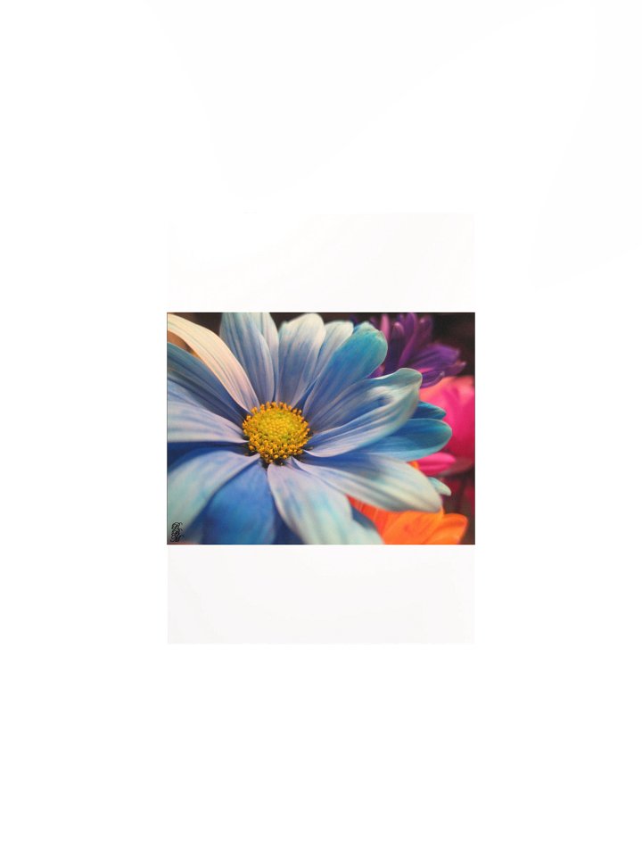 Colorful Flowers product image (2)