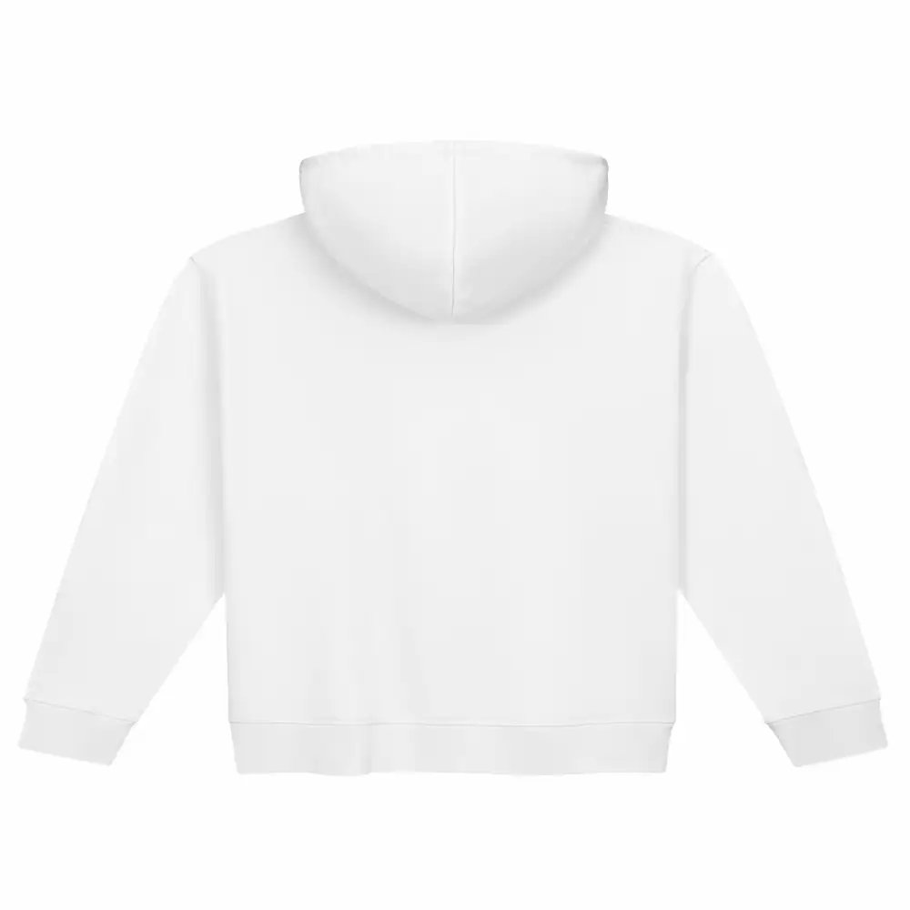 Majestic Neon Lion | Organic Premium Hoodie product image (6)