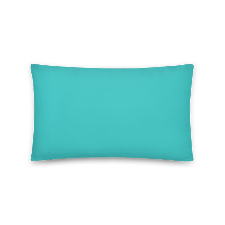 Seafoam Chicago Landie Adulting Pillow product image (2)