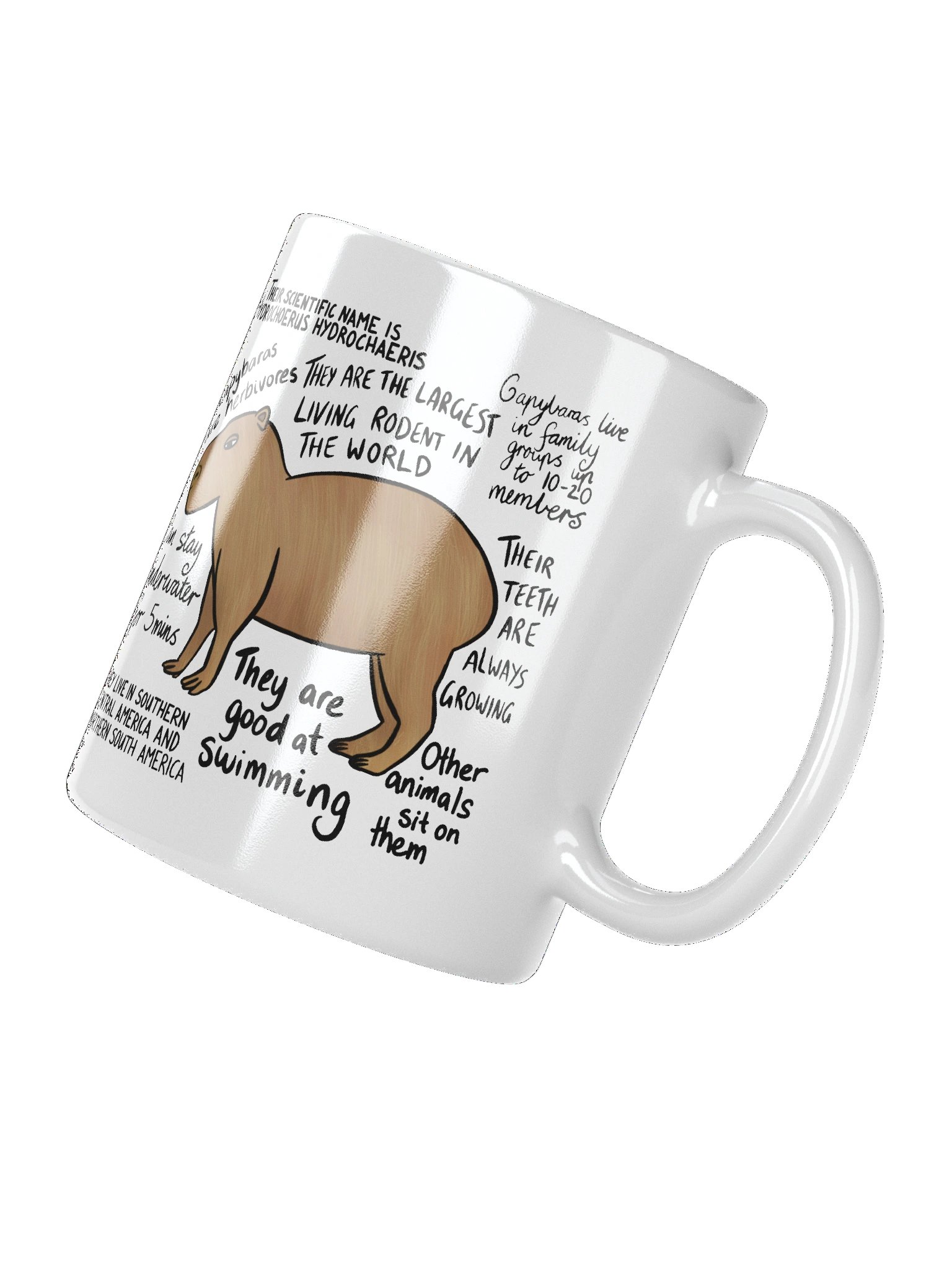 Capybara Facts Mug product image (7)