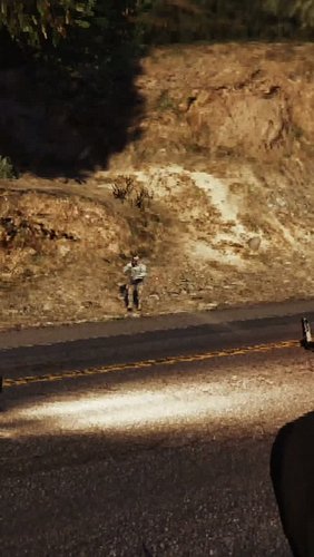 This is GTA 5 #gta #gta6 #gta5