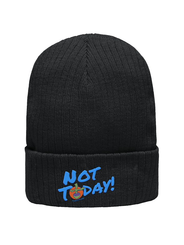 NT Ribbed Knit Beanie product image (1)