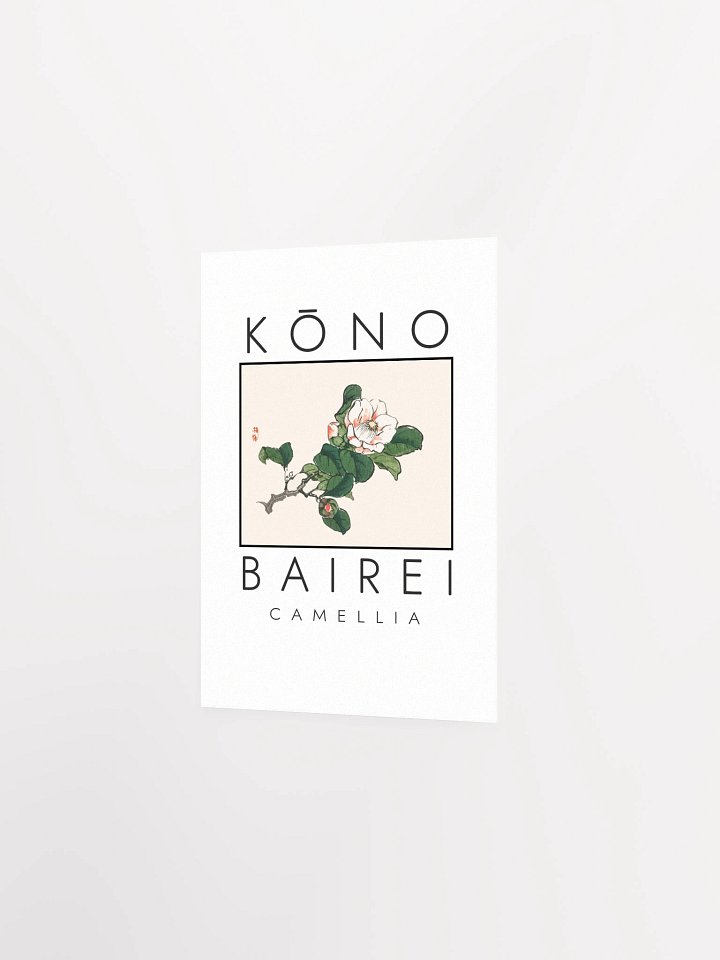 Kono Bairei Camellia Poster product image (14)