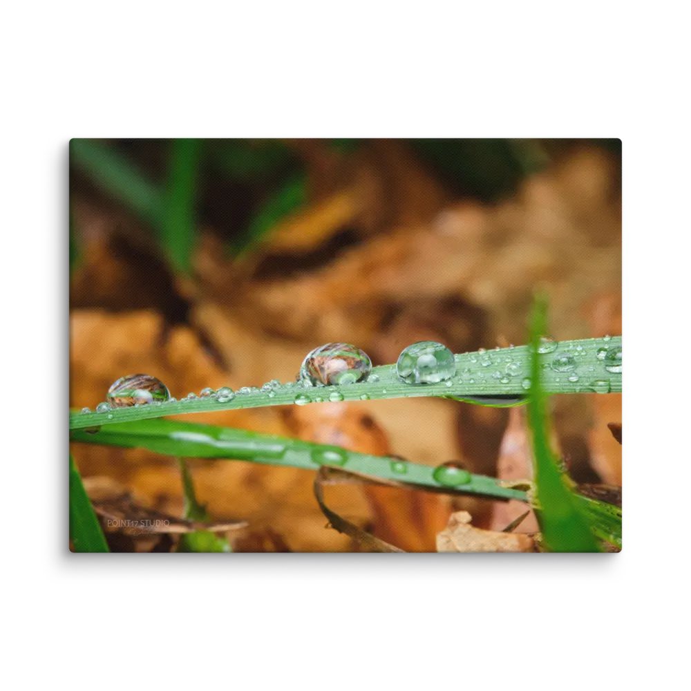 Crystal Balls #3 - Print On Canvas product image (1)