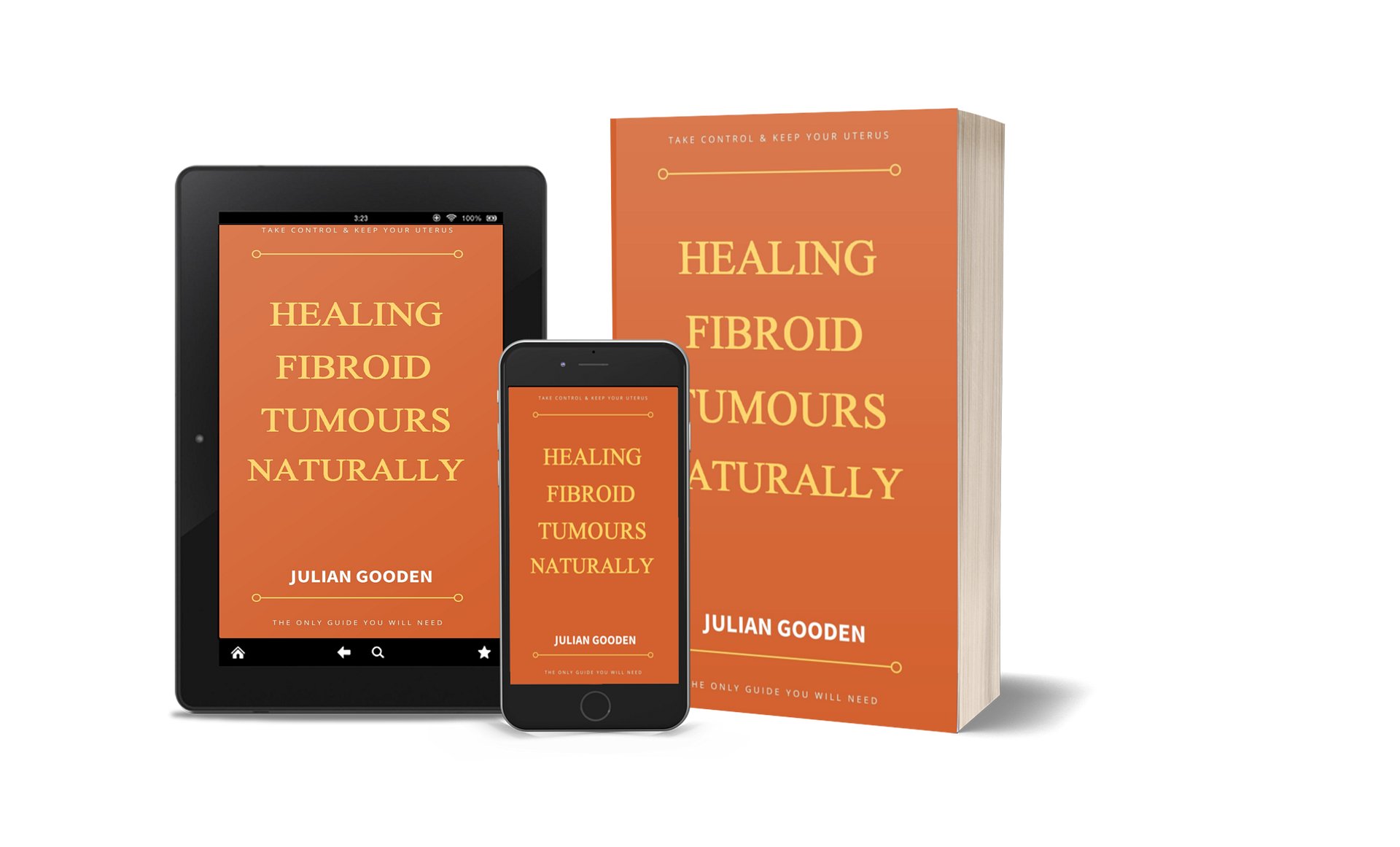 Healing Fibroid Tumours Naturally (Ebook) product image (2)
